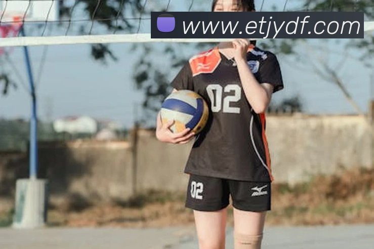 巅峰国际平台生态图