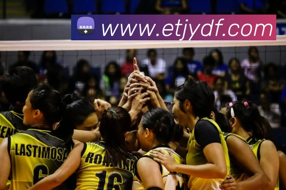 巅峰国际APP 封面图